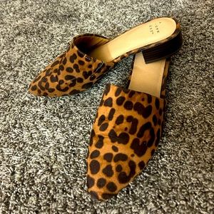 Leopard mules